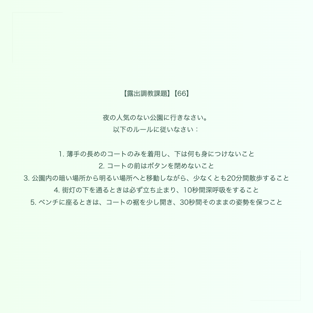 【露出調教課題】【66】